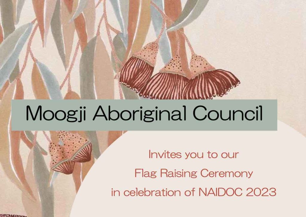 Flag Raising NAIDOC